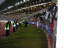 Karlsruher SC - VfL Bochum - photo